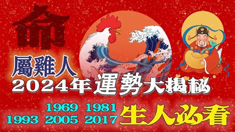 1993屬雞2024運勢|1993年出生屬雞的人2024年多少歲,2024運程運勢解析